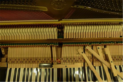 好鋼琴的世界標準 