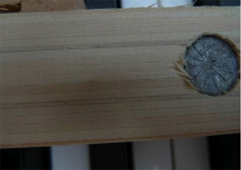 好鋼琴的世界標準 