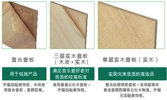 好鋼琴的世界標準 