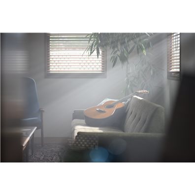 TransAcoustic?加振吉他