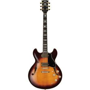 Brown Sunburst(棕色日落色)
