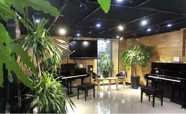 精彩回顧 | 雅馬哈e-EU柳勁濤博士遠程鋼琴公開課圓滿結束！