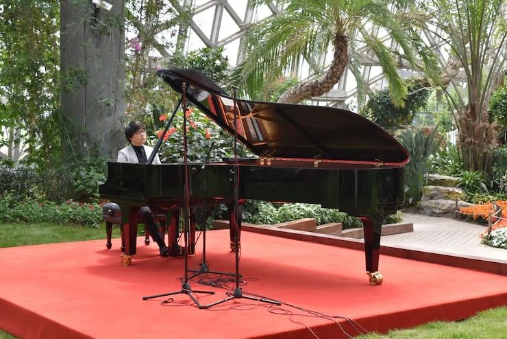 活動報道 | 雅馬哈藝術家宋思衡攜新作與大自然溝通