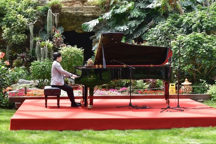 活動報道 | 雅馬哈藝術家宋思衡攜新作與大自然溝通