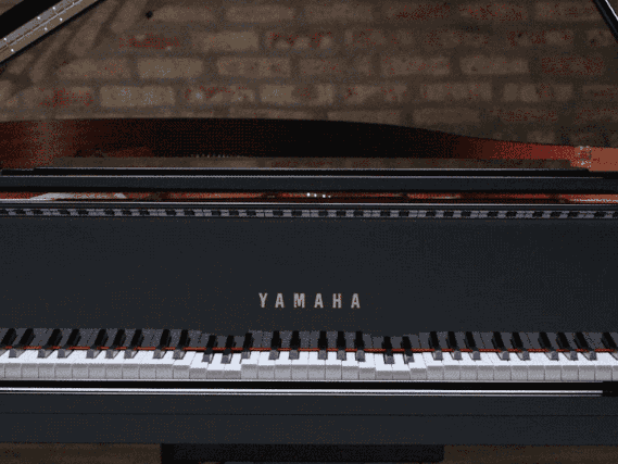 疫情下的新探索|美國亞利桑那州立大學國際遠程大師課圓滿結(jié)束！