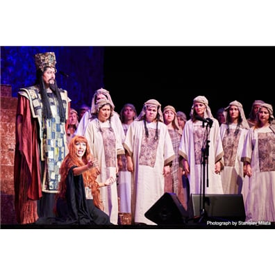 業界領先的捷克音響師投資購買雅馬哈RIVAGE PM7