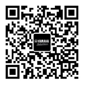 Line 6和Ampeg產(chǎn)品代銷通知