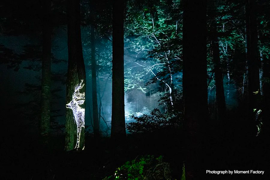 案例｜雅馬哈為壯觀的Kamuy Lumina魔法夜行旅游項目提供配樂設備