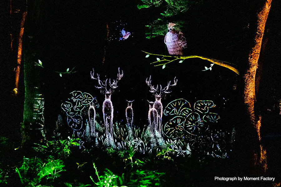 案例｜雅馬哈為壯觀的Kamuy Lumina魔法夜行旅游項目提供配樂設備