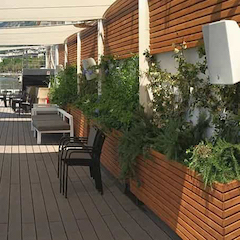 雅馬哈之聲為薩萊諾灣的Embarcadero設立黃金標準